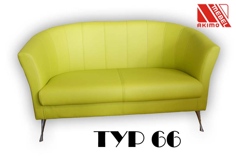 Typ 66 