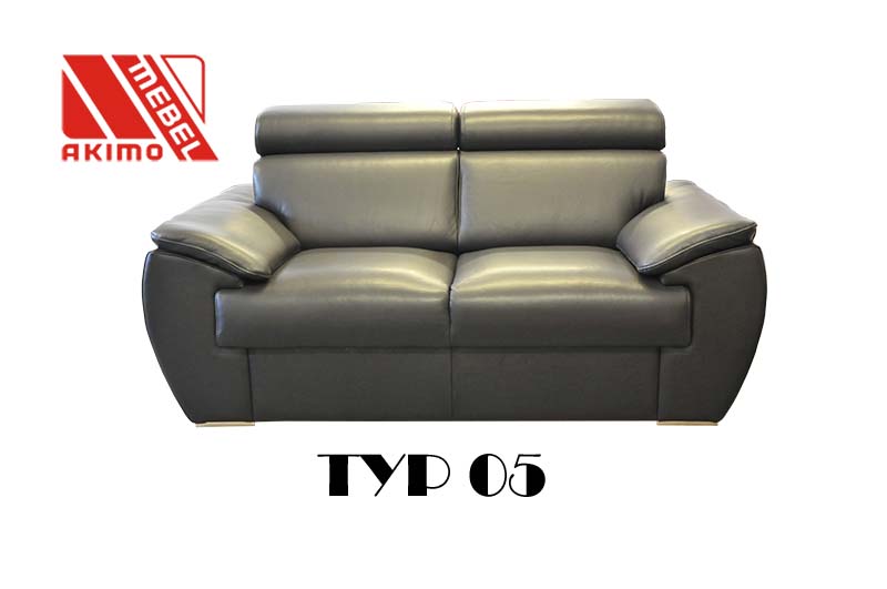 Typ95