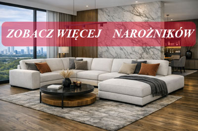 NAROZNIKI